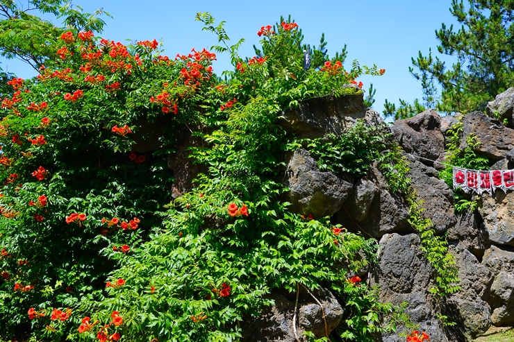 7월 축제 가볼만한곳 10곳