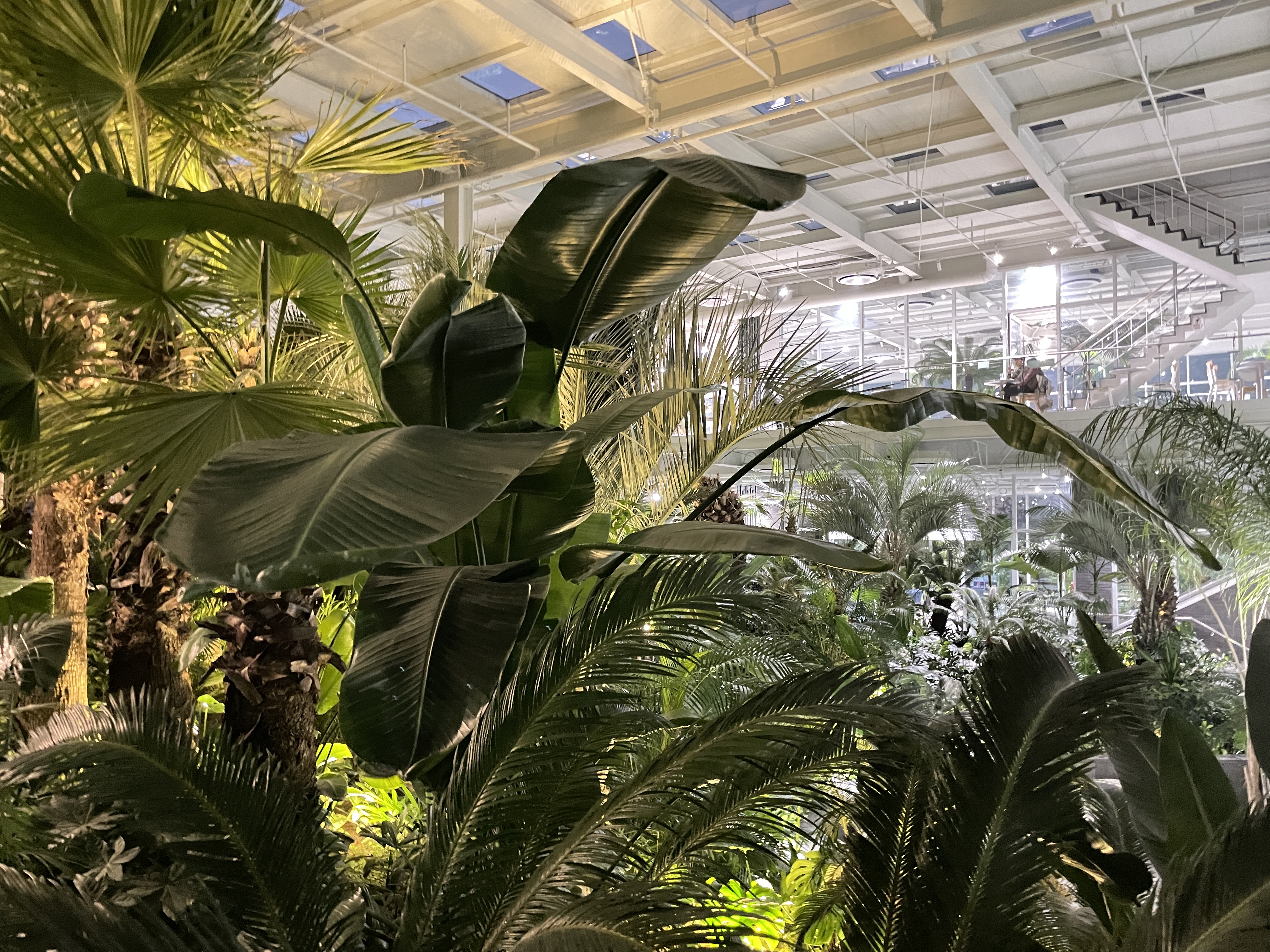 문지리535 파주 맛집