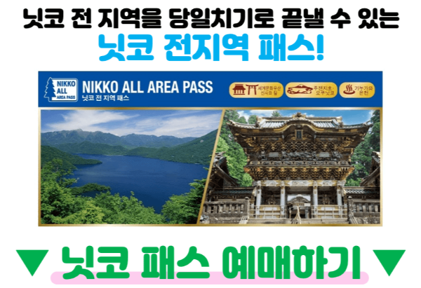 도쿄-근교-여행지-가마쿠라-에노시마-요코하마-하코네-이즈-닛코-카와고에-스이카-애플페이-일본-체크-카드-돈키호테-할인쿠폰