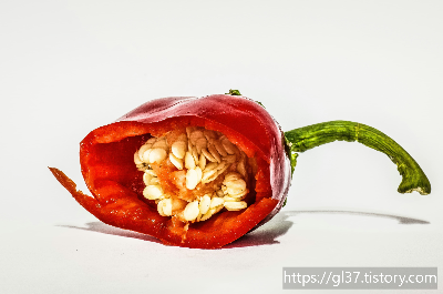 위 건강을 망치는 최악의 습관 5가지! 혹시 무심코 하고 계시진 않나요?