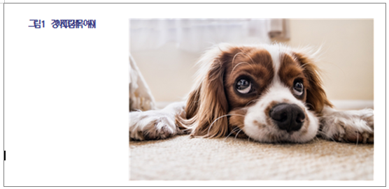 한글 캡션 설정 표번호 그림번호