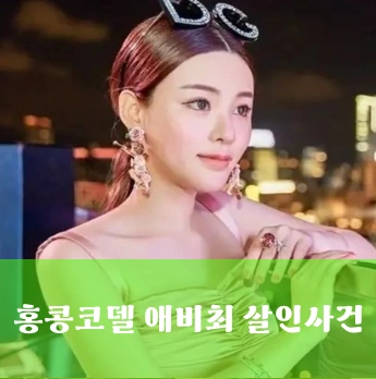 홍콩모델 애비최