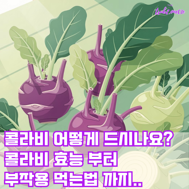 콜라비효능-부작용-먹는법