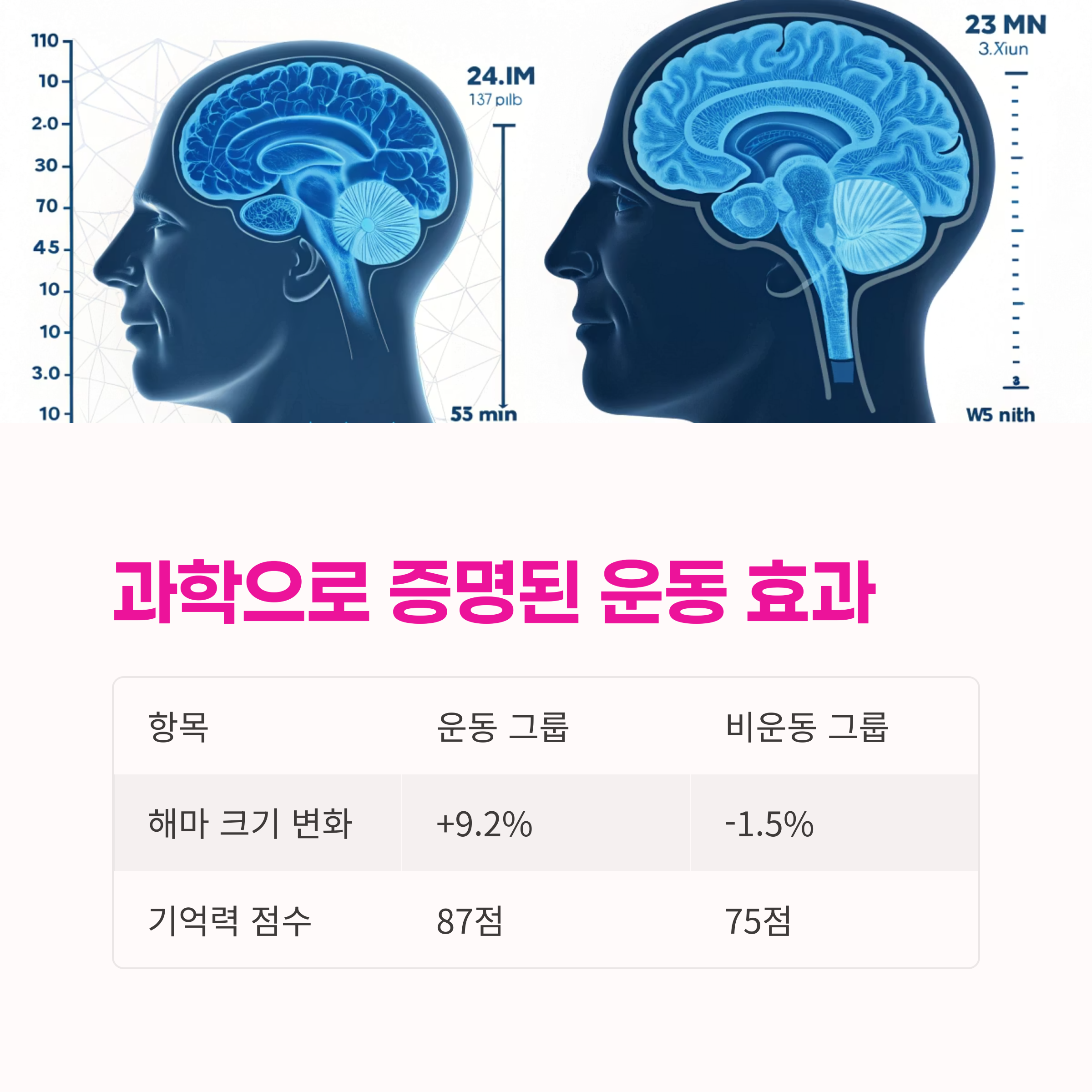 집중력,