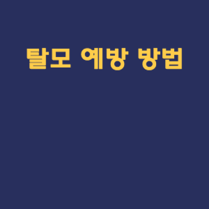 탈모 예방 방법