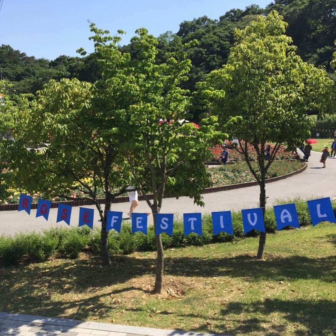울산대공원 장미축제