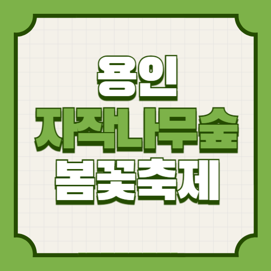 용인자작나무숲봄꽃축제