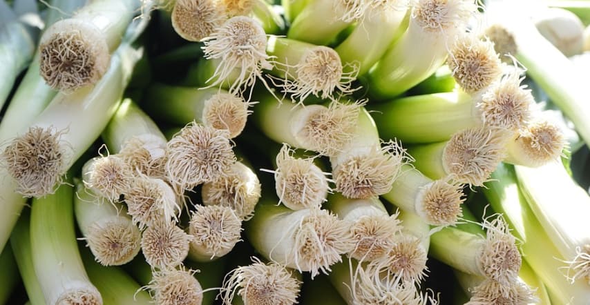 대파가 뿌리가 보이는 쪽으로 쌓여 있다