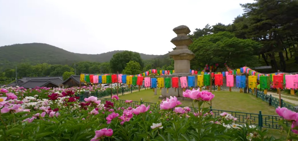 5월에 꼭 가봐야 할 적국 봄꽃 명소