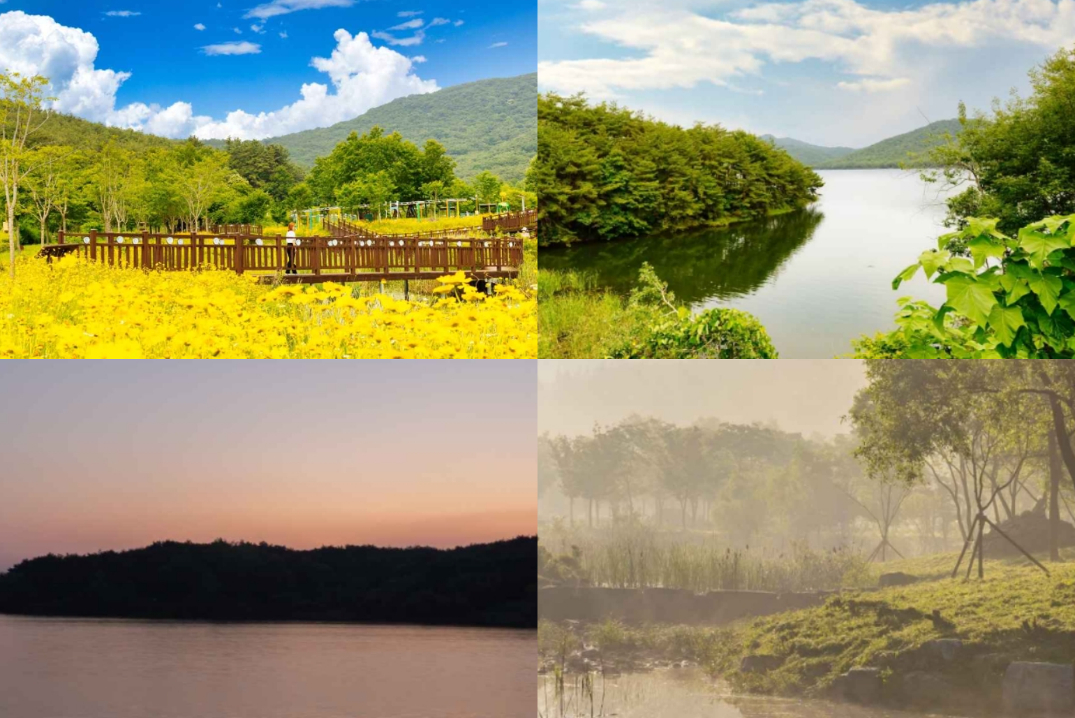 운곡 람사르 습지