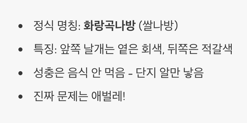 이 녀석의 정체, 쌀벌레와는 다릅니다