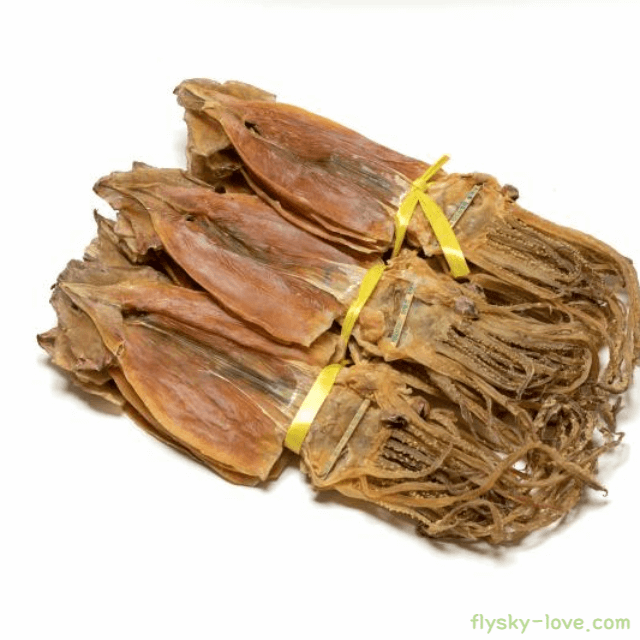 마른오징어 효능