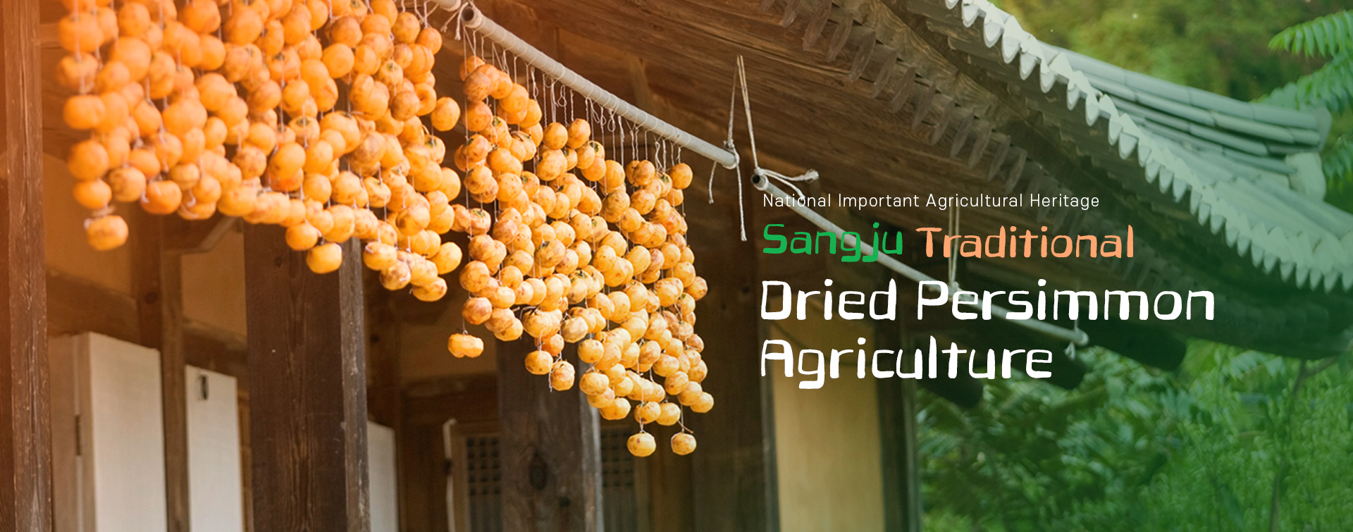 상주 곶감축제, 상주 곶감공원 - 경북 상주 가볼만한곳