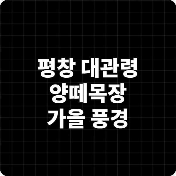 평창 대관령 양떼목장 가을 풍경