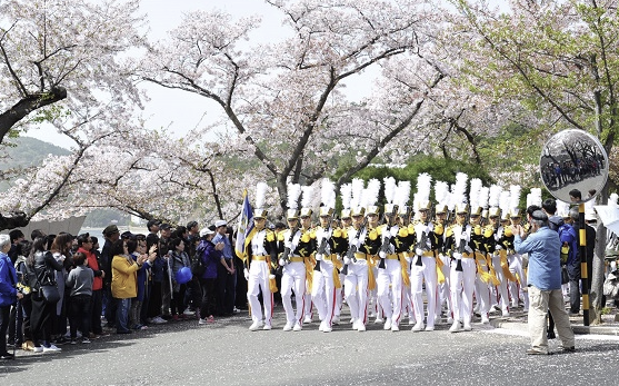 진해-군항제
