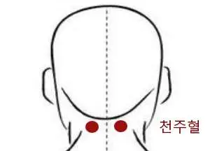 천주혈 (출처 : 중국인 건강관리법)