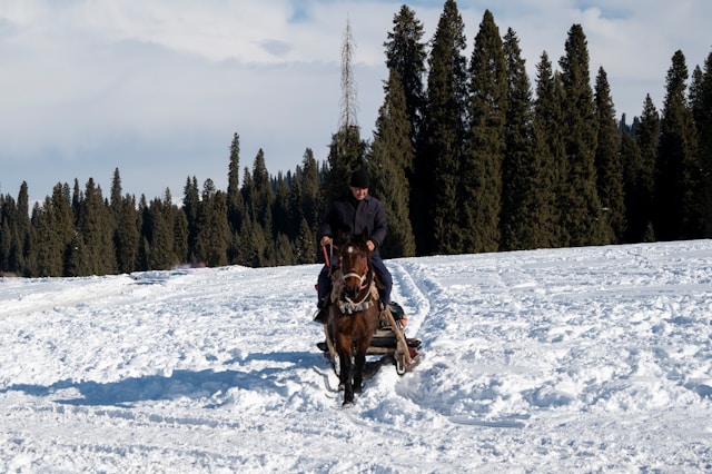 강릉 아르떼뮤지엄 할인 근처 맛집 코스 추천