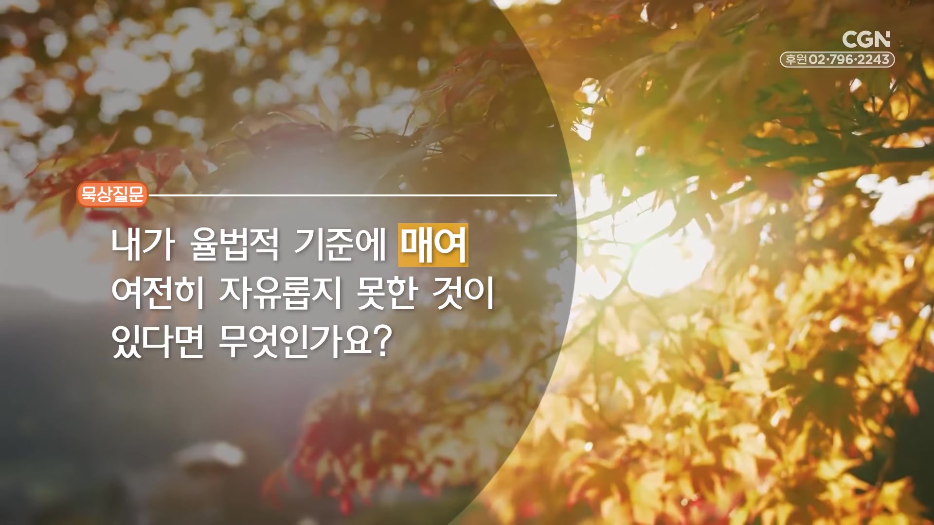 내가 율법적 기준에 매여 여전히 자유롭지 못한 것이 있다면 무엇인가요?
