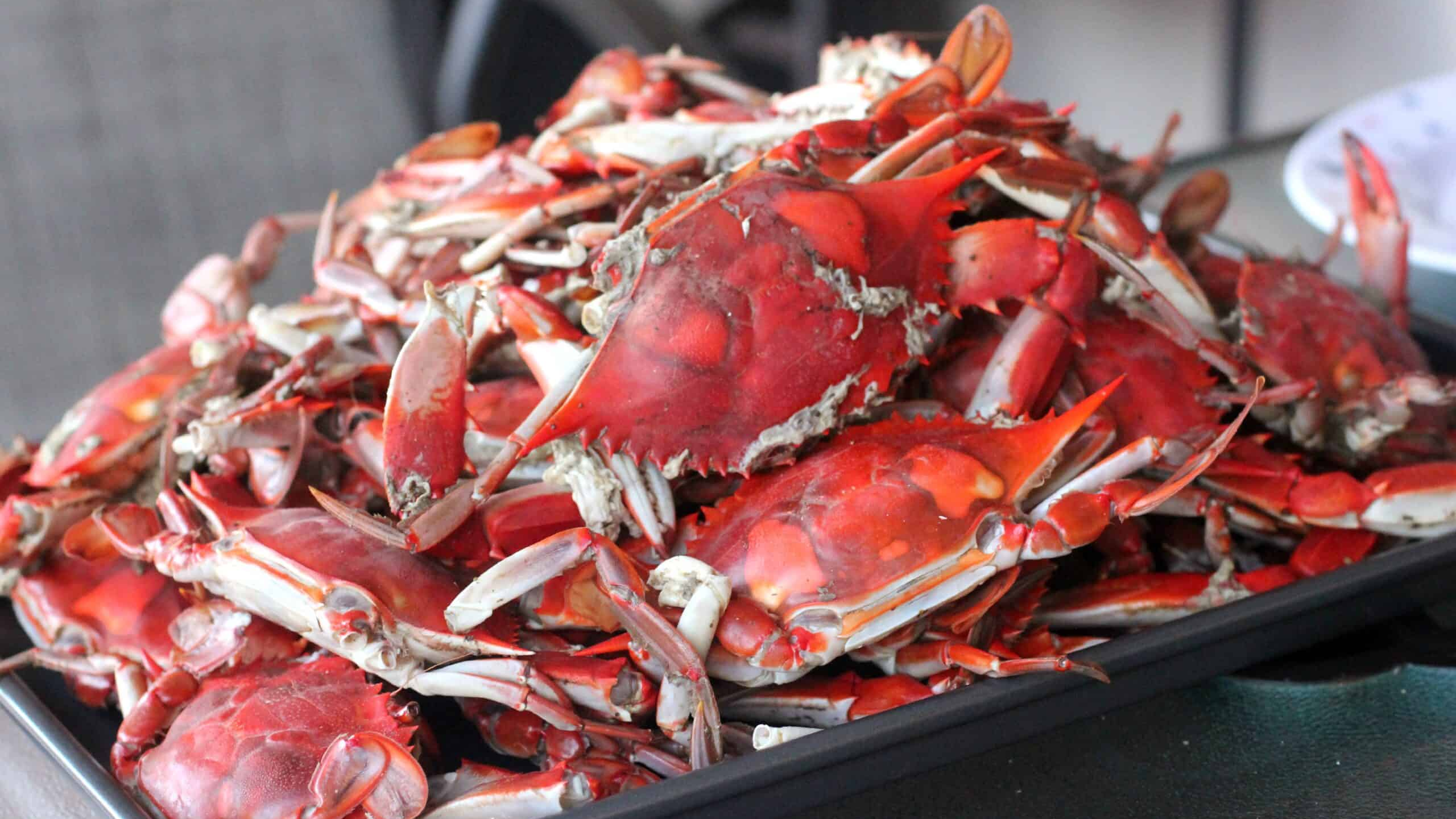 2025년 9월&middot;10월 제철 해산물 가이드