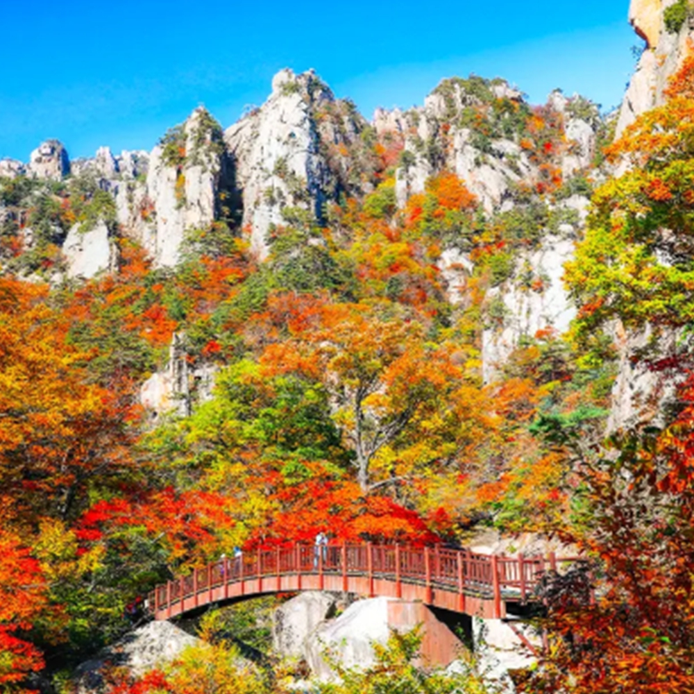 설악산