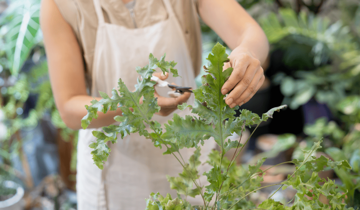 신용보증재단_소상공인대출_5