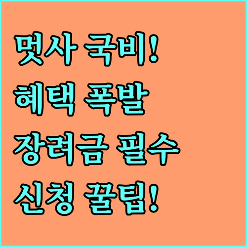 멋쟁이사자처럼 스쿨 국비 지원 혜택 ..