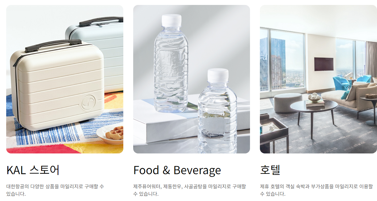 대한항공 마일리지 사용처 정리4