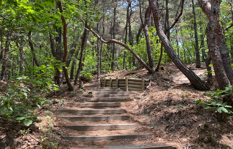 불암산 등산코스