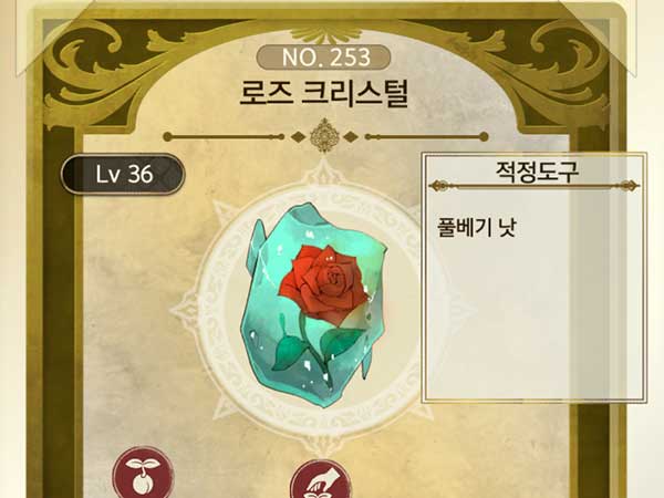 채집 소재 PART 1 - 물, 식물, 성게, 꽃 타이틀 이미지