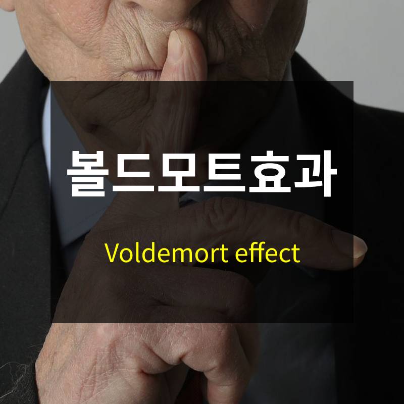 볼드모트 효과