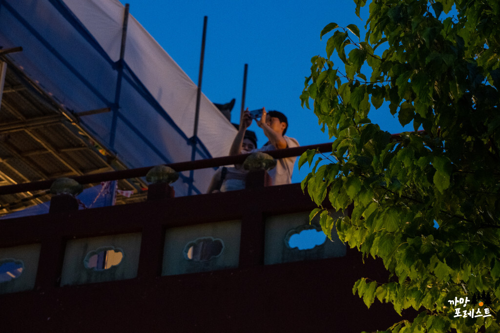 북악스카이웨이 야경 드라이브