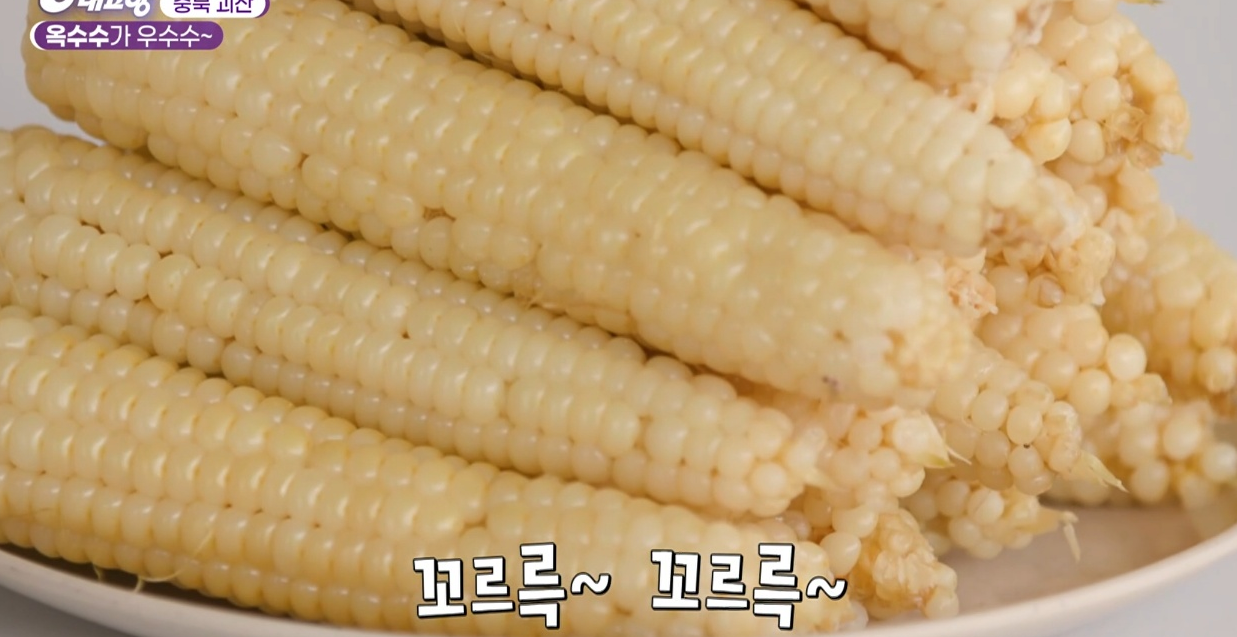 6시내고향 다시보기