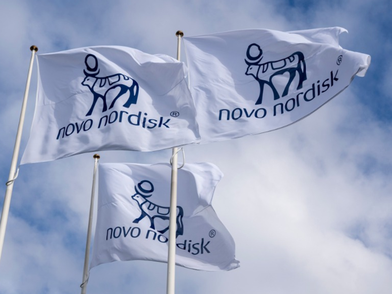 노보 노디스크 : 비만 치료제 시장 전망과 향후 주가 반등 가능성 분석(+실적)