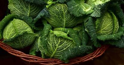 괴산 절임배추 20kg 주문 