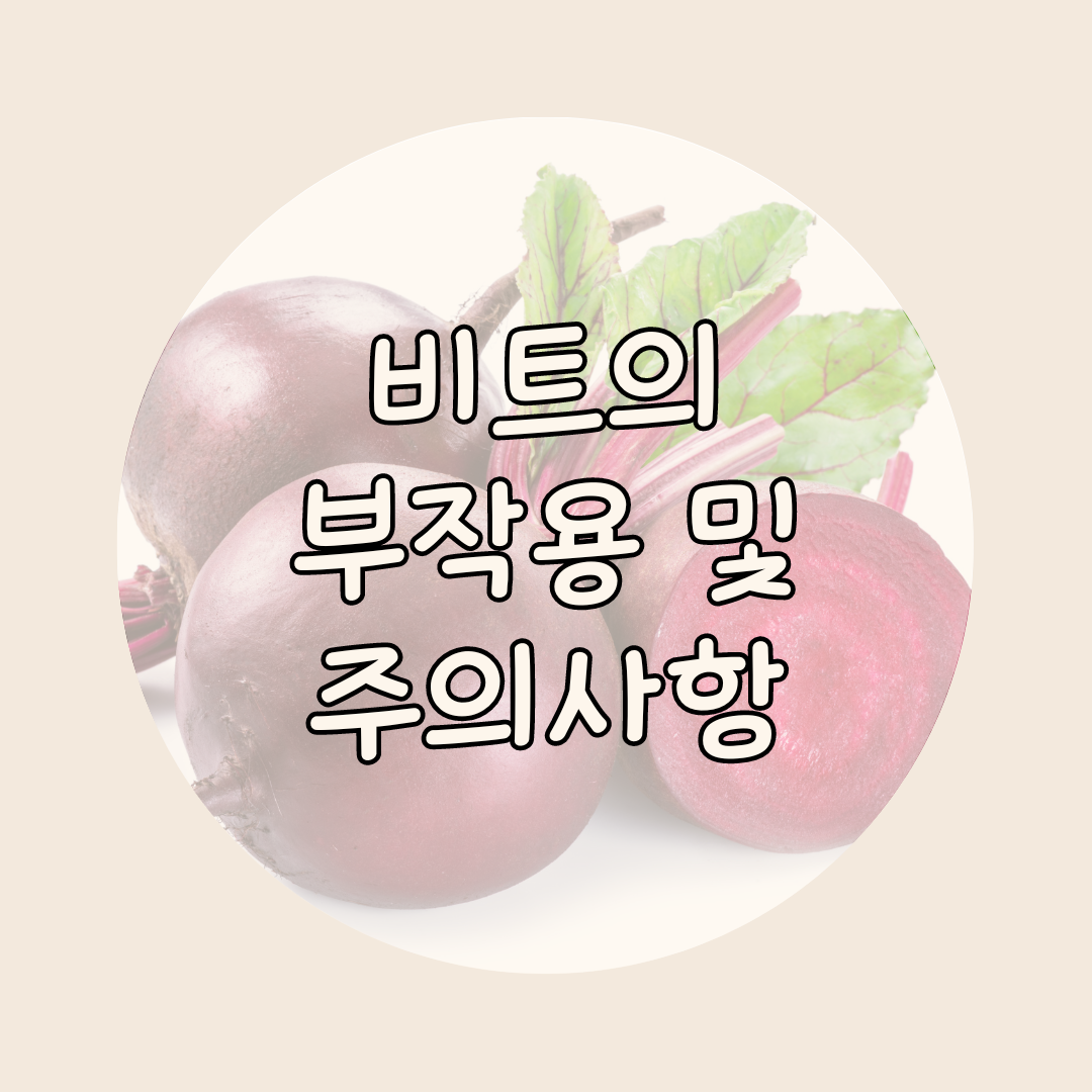 비트 섭취 시 주의사항