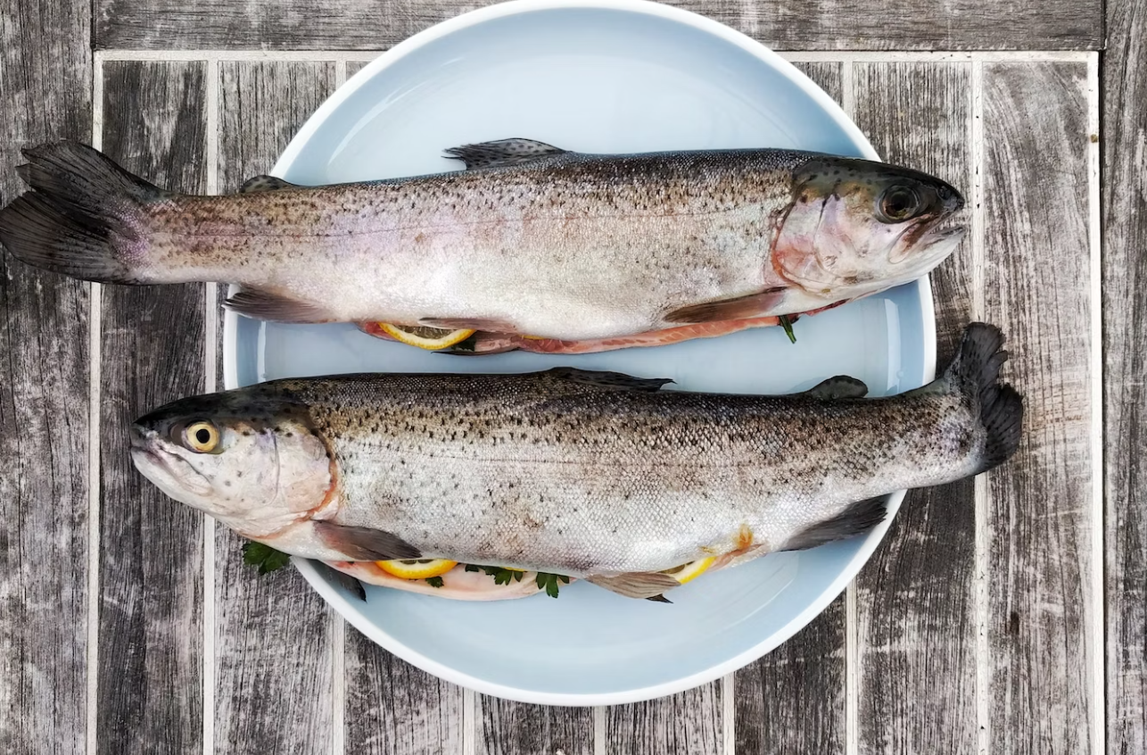 냉동생선유통기한