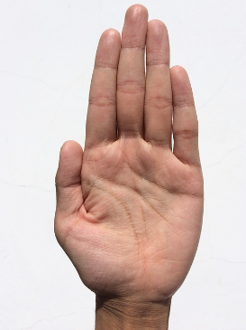 2025년 삼재띠 및 삼재에 대처하는 피하가는 방법