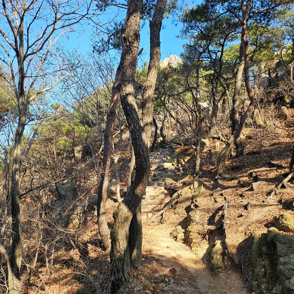 노적봉가는길
