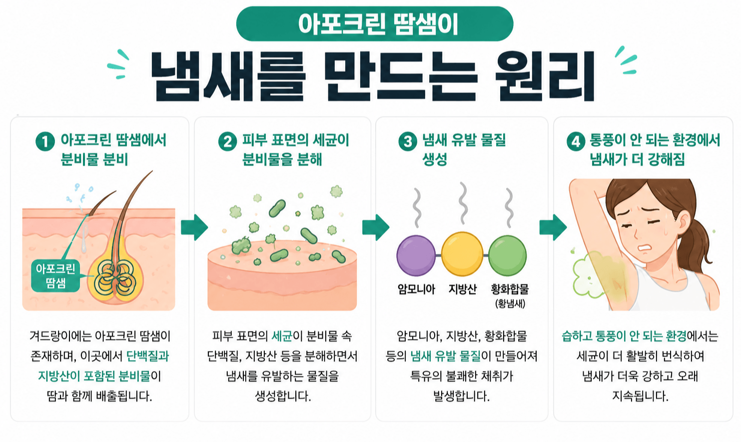 샤워해도 나는 겨드랑이 냄새? 원인부터 완벽 제거 방법까지