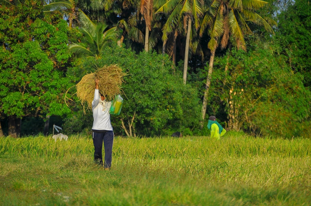 Farmers' Basic Income