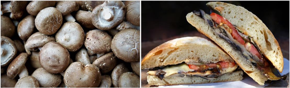 표고버섯-및-요리-안내-사진