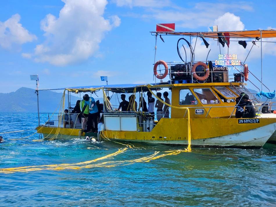 코타키나발루 씨워킹 사피섬 & 마누칸섬 투어 추천 예약 후기