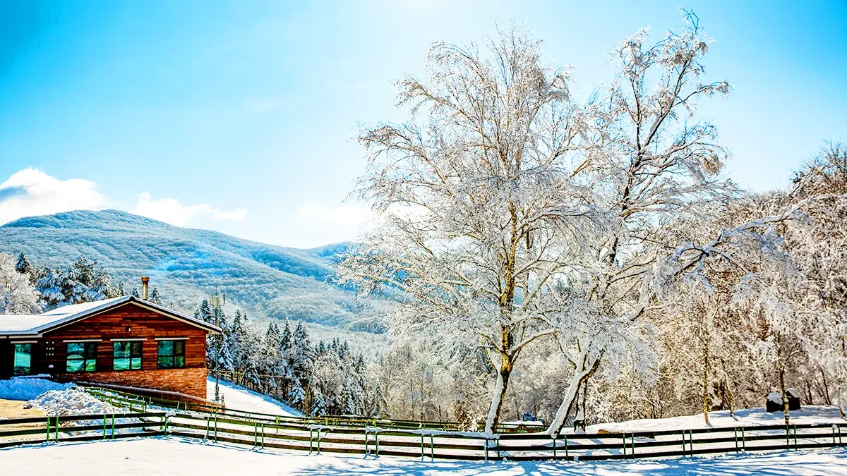 강원도 겨울 여행 명소 추천, 설경·자연·산행 BEST 4