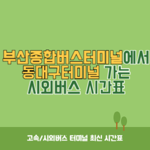 부산종합버스터미널에서 동대구터미널 가는 고속버스 시간표 최신정보