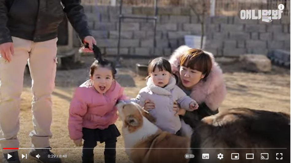 그 시절 우리가 사랑했던 아기와 강아지.. 4년 후