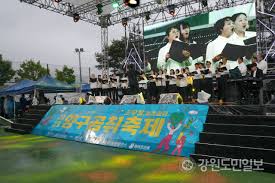 청춘양구 곰취 축제 그린페스타 기본일정과 공연 및 특징 소개 서지오 화자 나태주 케이시 코요태 경서 노브레인 출연