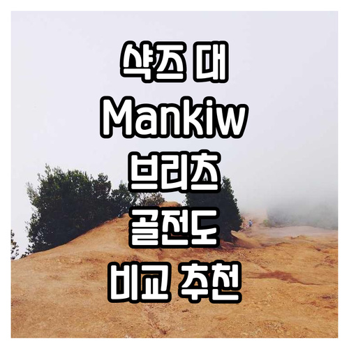 샥즈 vs Mankiw vs 브리츠 ..