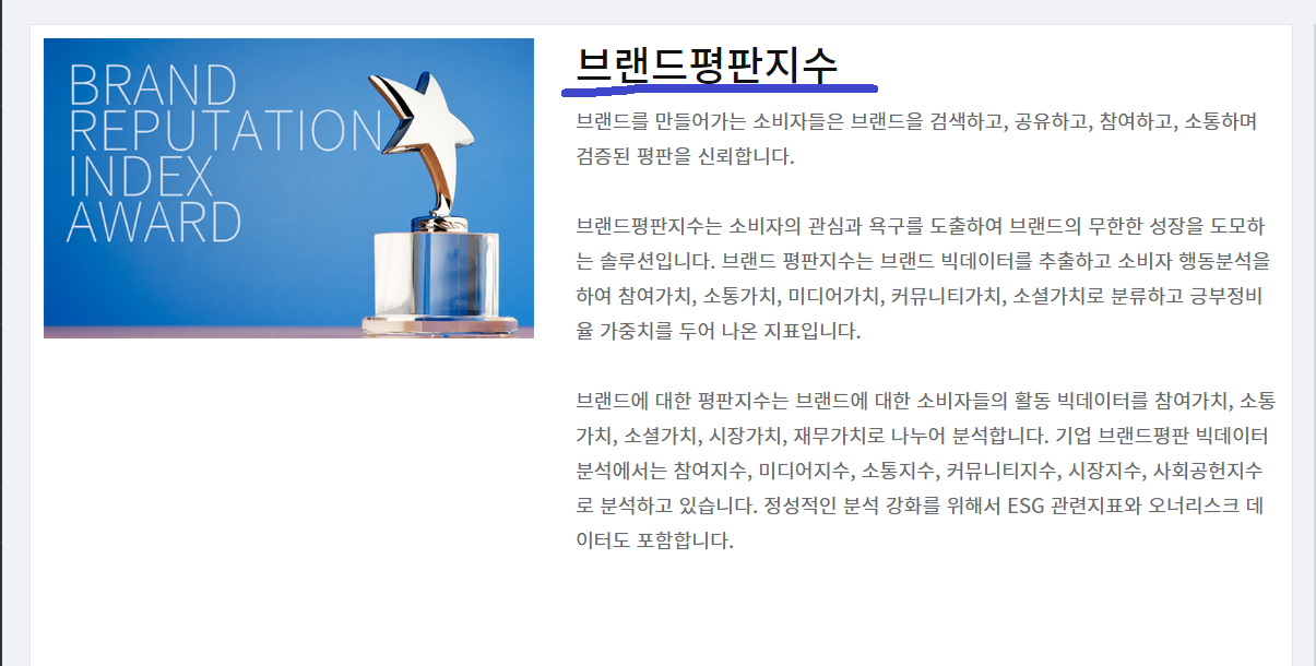 브랜드평판지수에 대한 공식홈페이지 정의 내용
