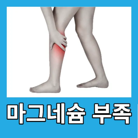 직장인 마그네슘 부족