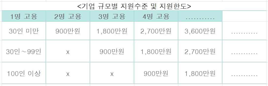 청년추가고용 장려금 지원사업